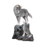 Guidance 25cm (LP) - 67