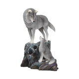 Guidance 25cm (LP) - 67