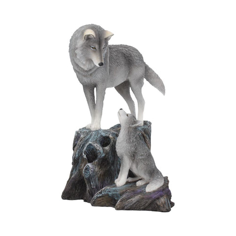 Guidance 25cm (LP) - 67