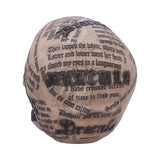Draculas Tale 18.5cm - 100