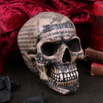 Draculas Tale 18.5cm - 100