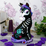 Sugarcorn 22cm - 0