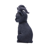 Pawzuph 11cm - 100