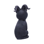 Pawzuph 11cm - 100