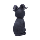 Pawzuph 11cm - 100