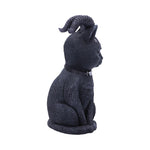 Pawzuph 11cm - 100