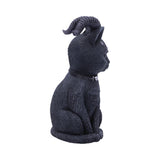 Pawzuph 11cm - 100