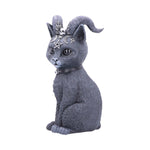 Pawzuph 26.5cm (Large) - 100