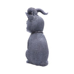 Pawzuph 26.5cm (Large) - 100