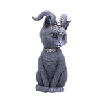 Pawzuph 26.5cm (Large) - 100