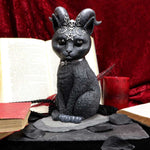 Pawzuph 26.5cm (Large) - 100