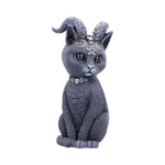 Pawzuph 26.5cm (Large) - 100