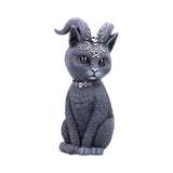 Pawzuph 26.5cm (Large) - 100