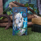 Fairy Whispers Embossed Purse (LP) - 100