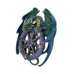 Year of the Magical Dragon (AS) 30cm - 11