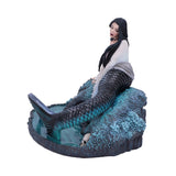 Sirens Lament (AS) 22cm - 99