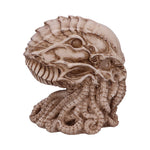 Cthulhu Skull (JR) 20cm - 100