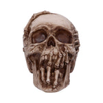 Breaking Out Skull (JR) 20cm - 100