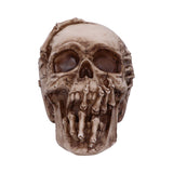 Breaking Out Skull (JR) 20cm - 100
