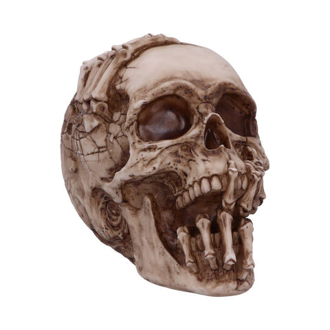 Breaking Out Skull (JR) 20cm - 100