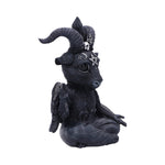 Baphoboo 14cm - 100