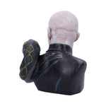 Harry Potter Lord Voldemort Bust 30cm - 100
