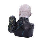 Harry Potter Lord Voldemort Bust 30cm - 100