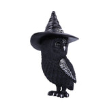 Owlocen 30cm (Large) - 90
