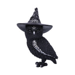 Owlocen 30cm (Large) - 90