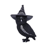 Owlocen 30cm (Large) - 90