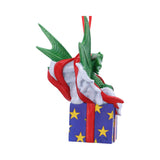 Surprise Gift Hanging Ornament (AS) 12.5cm - 100