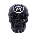Black Magic 19.5cm - 100
