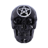 Black Magic 19.5cm - 100