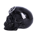 Black Magic 19.5cm - 100