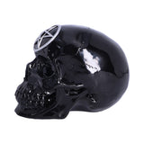 Black Magic 19.5cm - 100