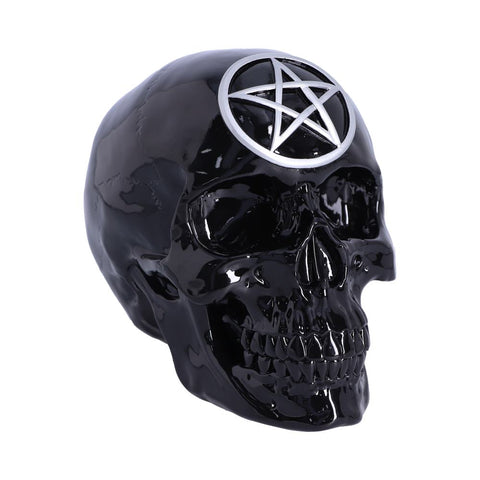 Black Magic 19.5cm - 100