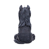 Culticorn 10.2cm - 100