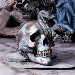 Serpentine Fate 19cm - 100