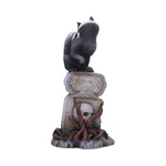 Skull Cat by Martin Hanford 15cm - 100