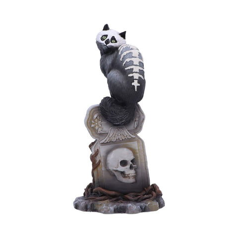 Skull Cat by Martin Hanford 15cm - 100