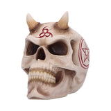 666 Skull (JR) 20cm - 100