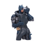 Batman & Catwoman Bust 30cm - 100