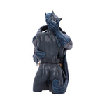 Batman & Catwoman Bust 30cm - 100