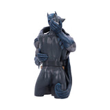 Batman & Catwoman Bust 30cm - 100