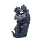 Batman & Catwoman Bust 30cm - 100