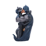 Batman & Catwoman Bust 30cm - 100