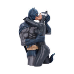 Batman & Catwoman Bust 30cm - 100
