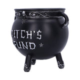 Witch's Fund 16.5cm - 100