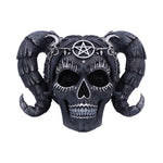 Drop Dead Gorgeous - Solve and Coagula 20.5cm - 41