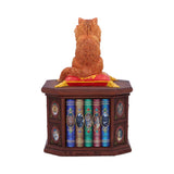 Mad About Cats Box (LP) 16.5cm - 100